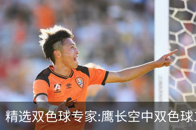 精选双色球专家:鹰长空中双色球146万累擒1788万!